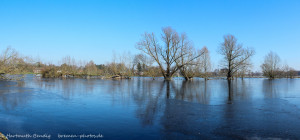 Hochwasser in den Wümmewiesen